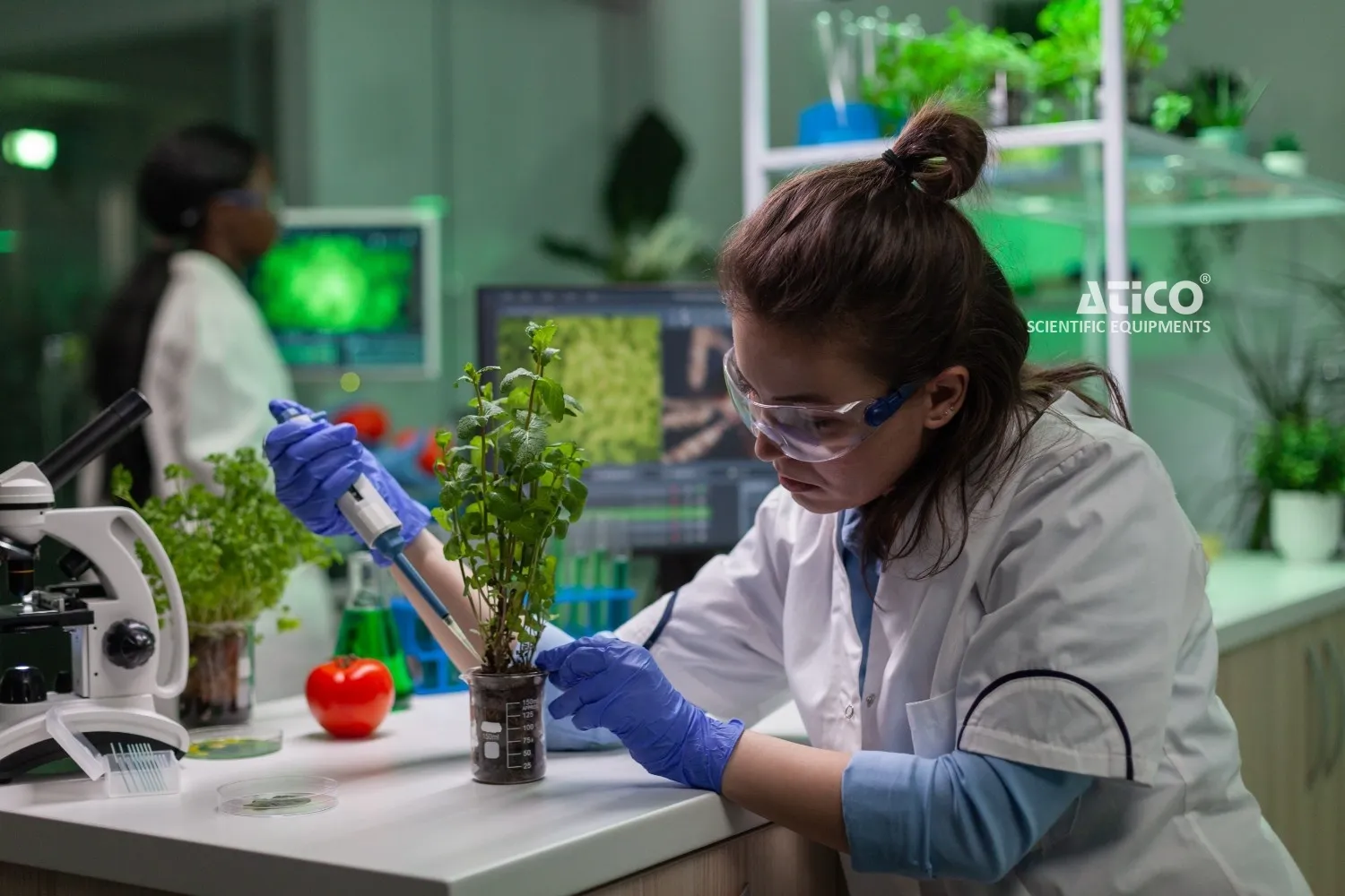 Science Kits and Educational Kits